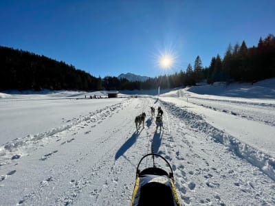 Descubrimiento de trineos tirados por perros en Lottensee, cerca de Innsbruck (Tirol)