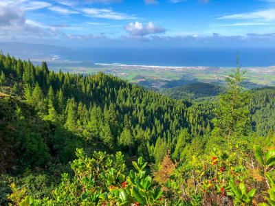 Randonnée sur l'île de São Miguel, Açores