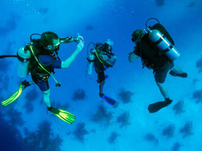 Beginner Scuba Diving Session near Naoussa in Paros