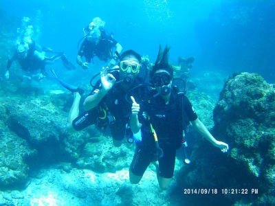 Refresher scuba diving lesson in Saint-François, Guadeloupe