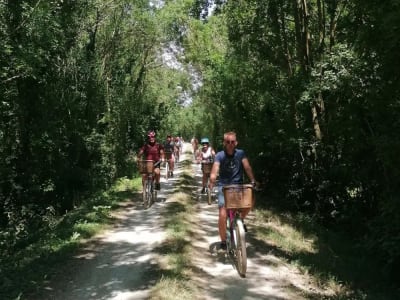 Balade guidée à vélo dans la Venise Verte du Marais poitevin, près de La Rochelle