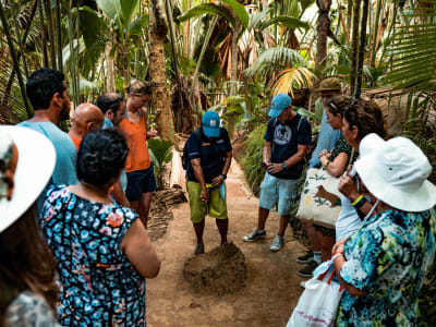 Guided Tour of Praslin and La Digue from Mahé, Seychelles