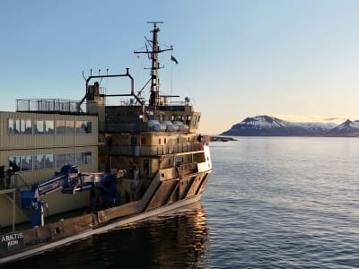 Crucero en el rompehielos «Arktis» y flotar en hielo en el Isfjorden desde Longyearbyen, Svalbard