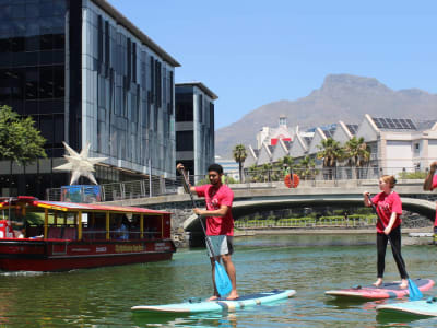 Stand up paddle Rental in Cape Town