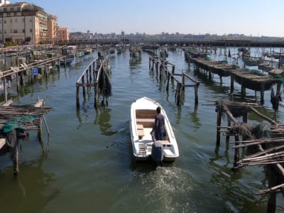 Excursión en barco por los secretos de la acuicultura en la laguna veneciana desde Chioggia