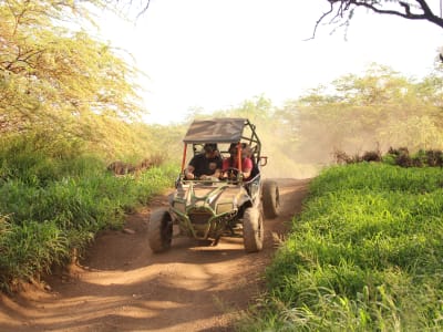 Aventure tout-terrain en quad dans la jungle d'Oahu depuis Waikiki