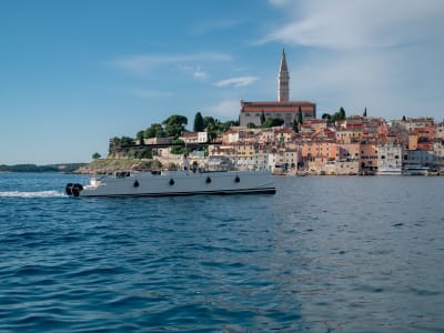 Excursion privée en catamaran au départ de Rovinj