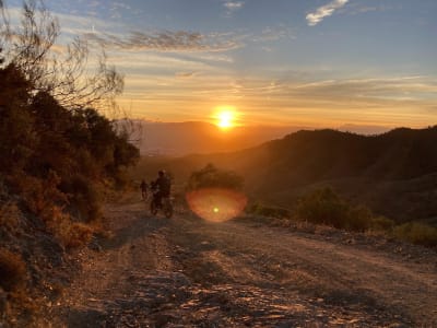 Off-Road Electric Fat Bike Excursion in Montes de Málaga