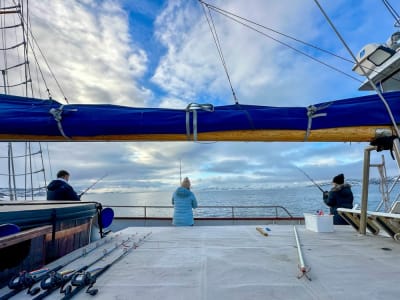 Fjord Boat Cruise and Fishing Trip from Tromsø