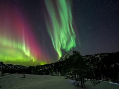 Excursion en minibus à Bodø pour observer les aurores boréales