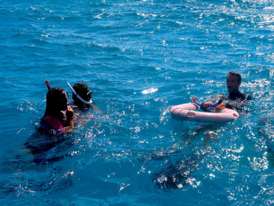 Guided Snorkelling Excursion in Tikehau