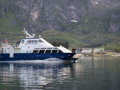 Boat Cruise to Trollfjord from Svolvær in Lofoten
