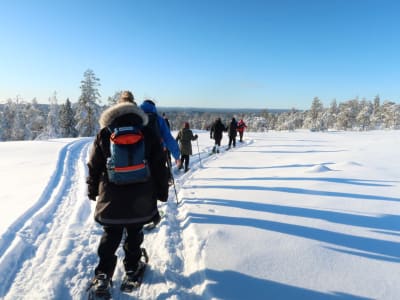 Excursion guidée en raquettes à Luleå