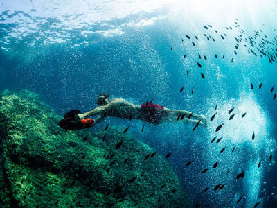 Snorkeling avec scooter sous-marin aux Anses-d'Arlet, Martinique