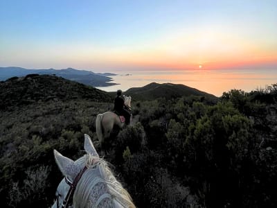 Randonnée à cheval à la plage de Lozari près de l’Île-Rousse et baignade en mer