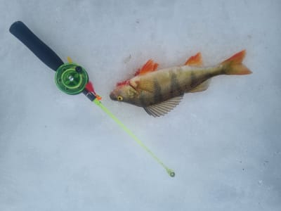 Ice Fishing Excursion in Ivalo near Inari