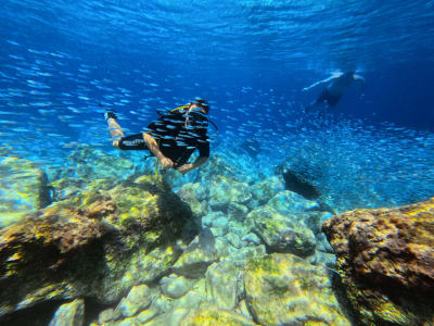 Shore Scuba Diving für zertifizierte Taucher in Chania, Kreta
