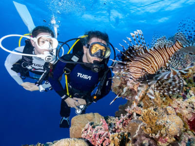 Entdecken Sie das Tauchen bei Marathonissi Island & Keri Caves in Zakynthos