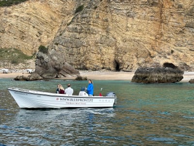 Paseo en barco por las playas salvajes del Parque de Arrábida desde Sesimbra