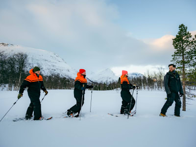 Excursion en raquettes avec dômes de glace et visite aux rennes depuis Tromsø