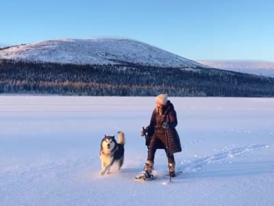 Visita a una granja de renos y aventura con raquetas de nieve desde Levi en Raattama