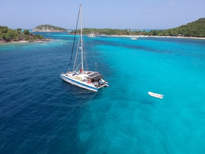 Katamaranausflug und Tauchen mit Schildkröten in Les Anses-d'Arlet, Martinique