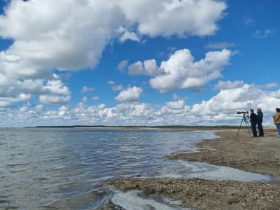 Guided High Tides Watching in the Baie de Somme