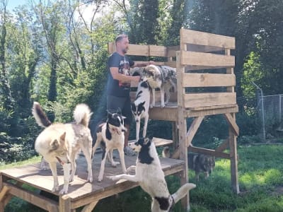 Visita a una perrera de perros de trineo en Val d'Azun, cerca de Argelès-Gazost, Altos Pirineos