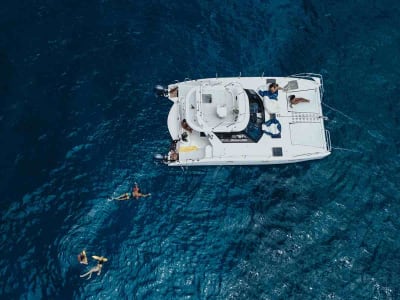 Excursion en bateau pour la plongée en apnée des tortues de mer au départ d'Honolulu. 