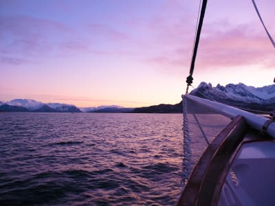Yachtkreuzfahrt durch die Polarfjorde ab Tromsø
