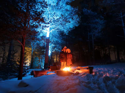 Excursion en traîneau à billes pour les aurores boréales à Luleå