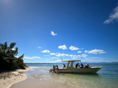 Balade en bateau dans la mangrove du Grand Cul-de-Sac Marin depuis Petit-Bourg