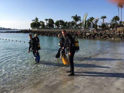 Plongée exploration sur la plage d'Anfi, Grande Canarie