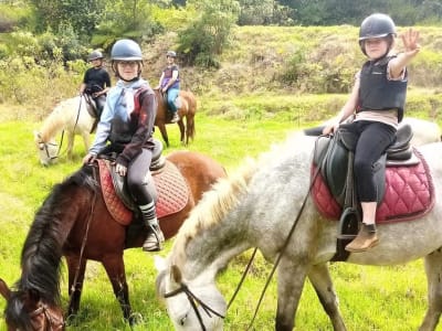 Paseo a caballo para principiantes en el Piton Maïdo, Isla Reunión