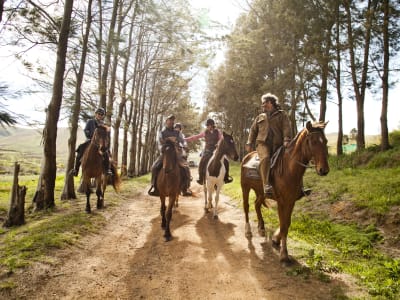Mountain Horseback Riding in Stanford, near Hermanus
