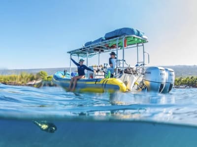 Experiencia guiada de snorkel en Kona, en la isla de Hawaii