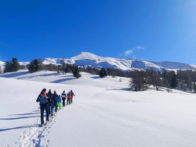 Schneeschuhwanderung bei Sonnenuntergang im Vars-Tal