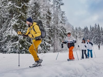 Randonnée en raquettes dans la forêt d'Oslo