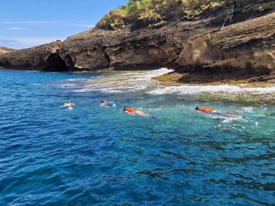 Snorkel en el Islote de Vila Franca do Campo, São Miguel, Azores