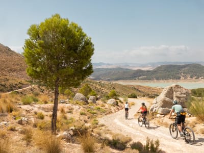 E-bike Excursion in the Desfiladero de los Gaitanes Nature Park from El Chorro, Málaga