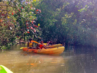 Randonnée en kayak de mer au Gosier, Guadeloupe