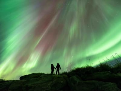 Private Northern Lights Excursion by Minivan from Tromso, Norway