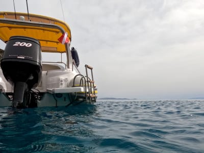 Bootstour mit geführtem Schnorchelkurs nach Agia Pelagia bei Heraklion