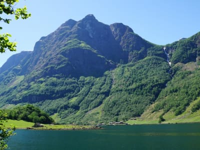 Guided Nærøyfjorden Hiking Excursion in Rimstigen from Voss