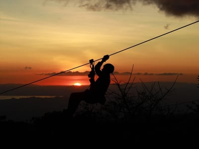 Guided Excursion with Zipline and Jungle Walk at Night in Monteverde, Guanacaste