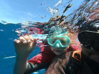 Excursion de snorkeling dans la baie de La Caleta de Adeje, Tenerife
