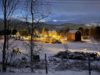 Evening Arctic Farm Experience in Kviby from Alta