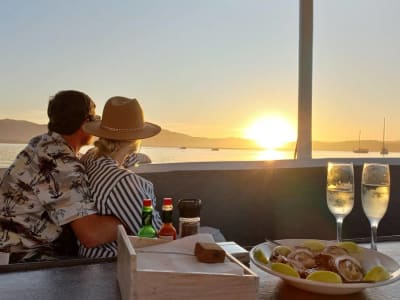 Balade en bateau dans le lagon de Knysna depuis Thesen Island et dégustation d'huîtres