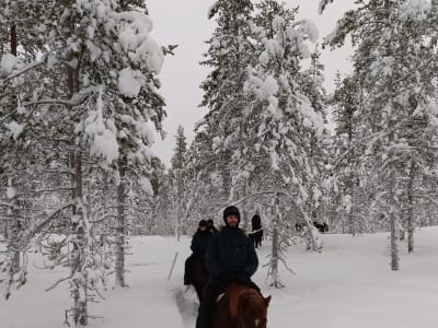 Paseo a caballo por Islandia en Äkäslompolo, cerca de Ylläs