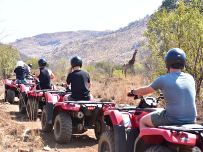 Geführte Quad-Bike-Safari im Letsatsing-Wildreservat von Sun City, Pilanesberg-Nationalpark